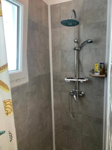 une douche avec pommeau de douche dans une salle de bain dans l'établissement Les Clés de Saint-Jean - Prox Port et Centre Ville, à Caen