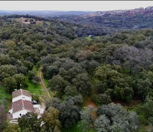 an aerial view of an old building in the middle of a forest at Cortijo Rural El Contador, con chimenea in Constantina