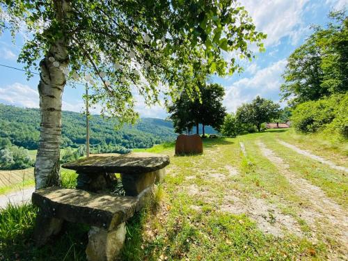 a stone bench sitting next to a tree in a field at LUNA dei CARLINI in Mombarcaro