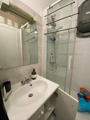 une salle de bain avec un lavabo et une douche en verre dans l'établissement Charmant appartement Marais, à Paris