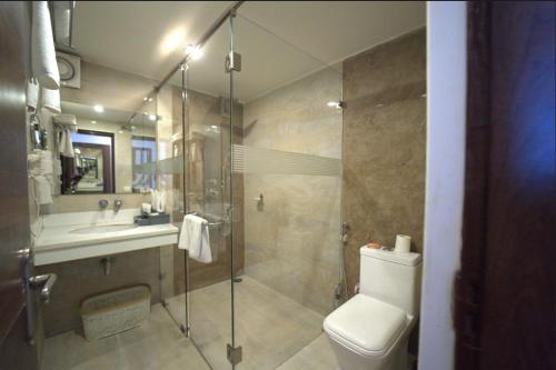 德拉敦Hotel JSR Continental的带淋浴、马桶和水槽的浴室