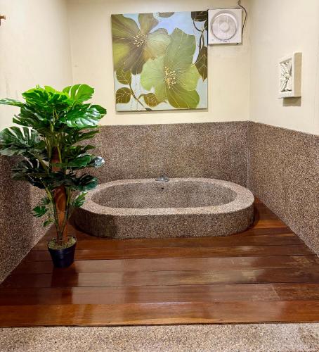 a bathroom with a bath tub with a potted plant at Ardour Lodge "B" Wing in George Town