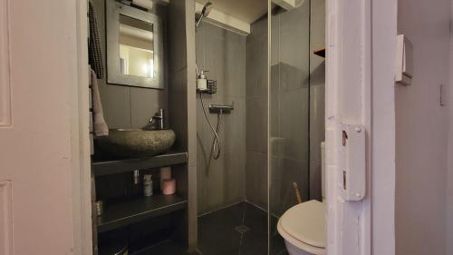 a bathroom with a shower and a sink and a toilet at Bed and Breakfast Jardin de Marie in Aix-en-Provence