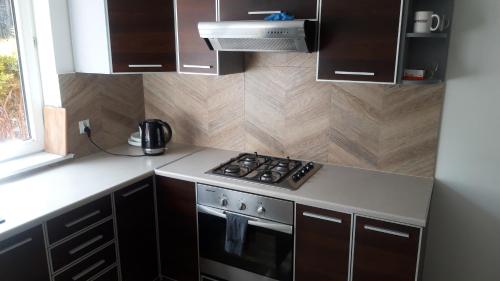 Kuchyň nebo kuchyňský kout v ubytování Domek wśród drzew - noclegi