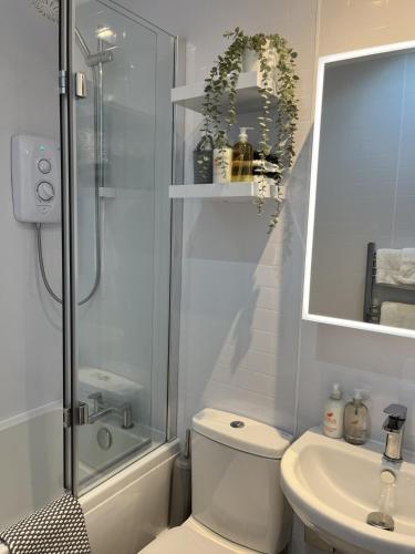 a bathroom with a shower and a toilet and a sink at The Glastonbury Townhouse B&B in Glastonbury