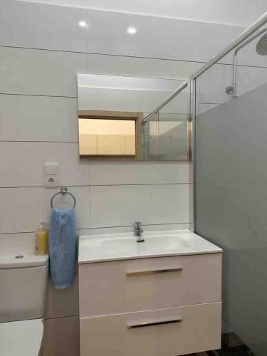 a bathroom with a sink and a mirror and a toilet at Apartamento Murcia San José C in Murcia