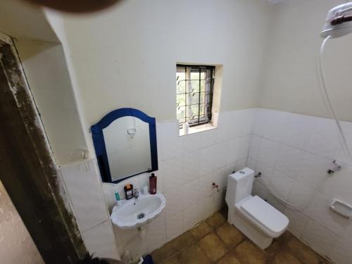 a bathroom with a toilet and a sink and a mirror at EMMY'S HIDE AWAY in Iringa