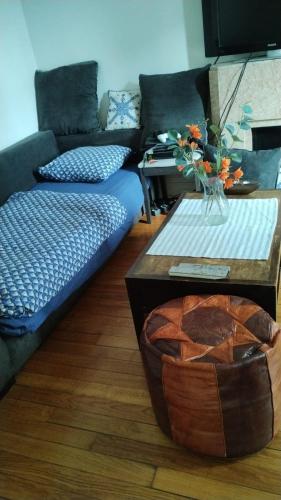 un salon avec un canapé et une table dans l'établissement 2 rooms Paris 13 near Cité U, à Paris
