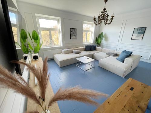 Luxurious 3 bedroom center flat with AC!