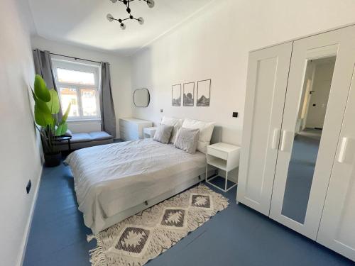 Luxurious 3 bedroom center flat with AC!