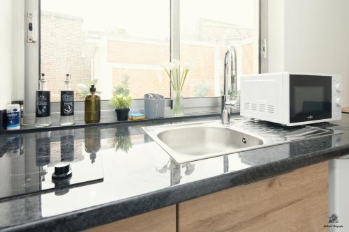 un comptoir de cuisine avec un évier et un micro-ondes dans l'établissement La résidence Jeanne d'Arc 2, Troyes - France, à Troyes