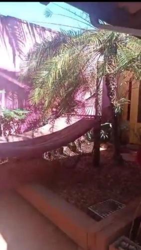 Zahrada ubytování Suíte privativa em casa de família - ENTRADA INDEPENDENTE - a tranquilidade - conforto e privacidade que vc procura - super limpinha com cozinha em BARÃO GERALDO- perto de tudo e sossego total