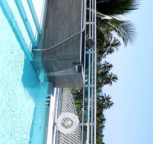 an overhead view of the infinity pool at the paradiso resort at Leslie Hotel Ocean Drive in Miami Beach
