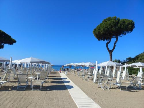 a row of chairs and umbrellas on a beach at Villaggio Il Girasole in Follonica