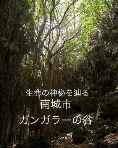 a sign with chinese writing in a forest of trees at Yellow House Okinawa in Naha