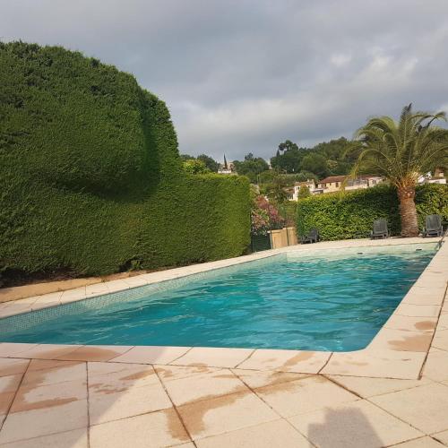 une piscine d'eau bleue en face d'une haie dans l'établissement La villa Espérance, à Grasse