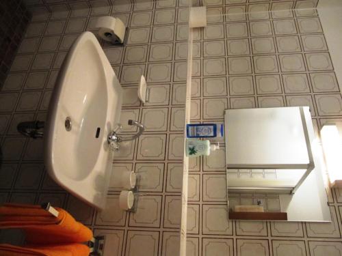 a bathroom with a white sink and a mirror at Erlebnislandgasthof Hotel Neiderhell in Kleinholzhausen
