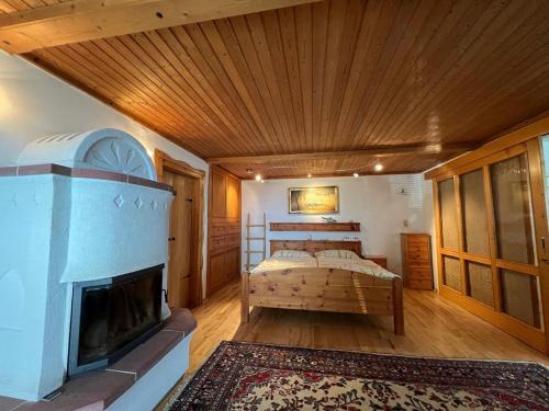 a bedroom with a bed and a fireplace at Mountain house with a view in Christofberg
