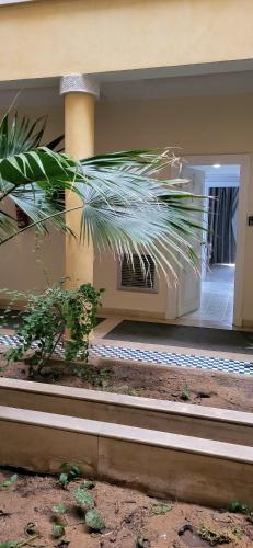 a palm tree in front of a house at Wonderful Hotel Apartment in Hammamet