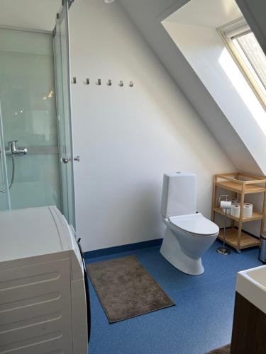 a attic bathroom with a toilet and a shower at Søndervang, lejlighed 1sal in Svinninge