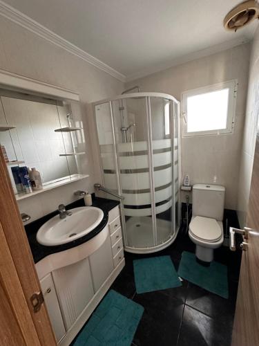 a bathroom with a shower and a toilet and a sink at Casa Hendrika - La Nucia Hills in La Nucía