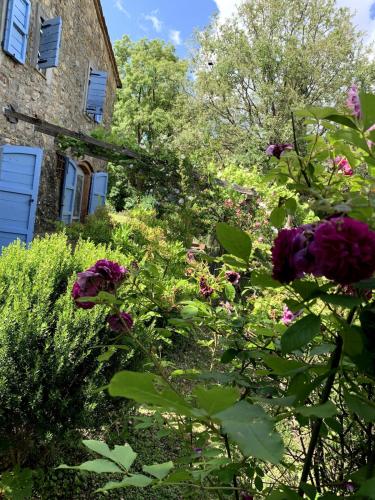 a garden with flowers in front of a building at Casale in Maremma Podere Marino in Scansano
