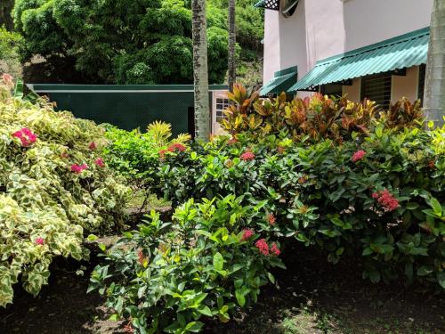 a garden of flowers in front of a building at La Sagesse Hotel, Restaurant and Beach Bar in Content