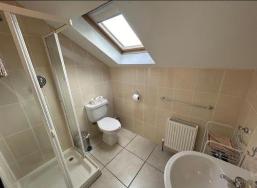 a bathroom with a toilet and a sink and a skylight at Nellie's Village Stay in Beaufort