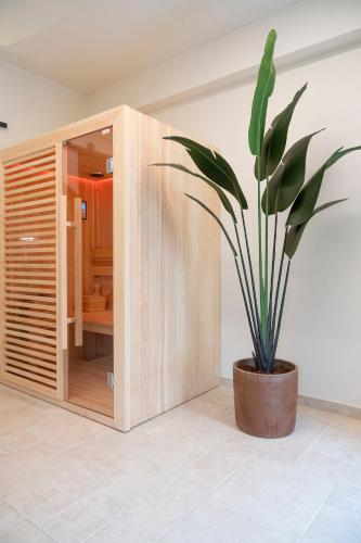 a potted plant sitting next to a wooden cabinet at Lajatico Rentals -Grotticella House, SPA Apartment in Peccioli in Peccioli