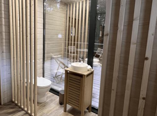 a bathroom with a sink and a toilet at Cabanes de la Romaningue in Pompignac
