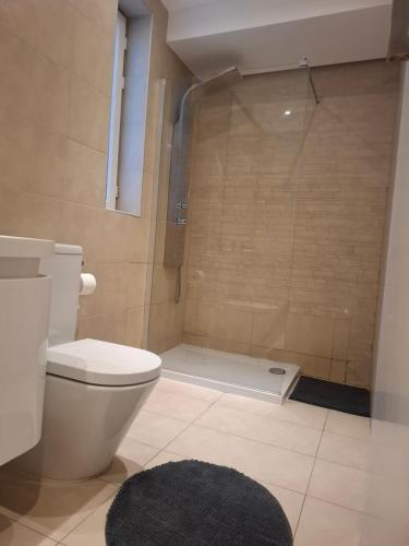 a bathroom with a toilet and a shower at Sunny Penthouse Central in Mosta