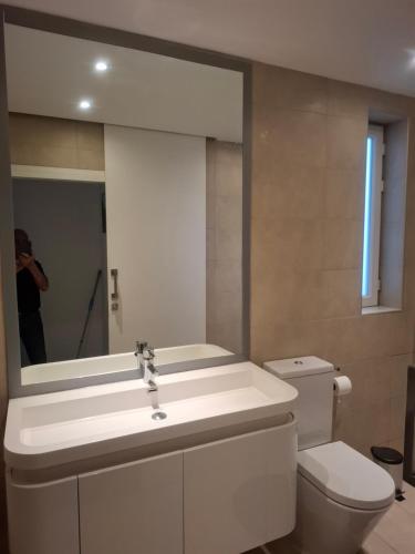 a bathroom with a sink and a toilet and a mirror at Sunny Penthouse Central in Mosta