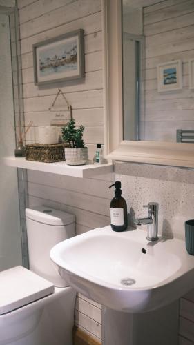 a bathroom with a sink and a toilet and a mirror at Willow Lodge in West Wellow