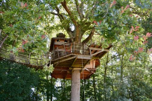 a tree house in the middle of a tree at Cabanes de la Romaningue in Pompignac