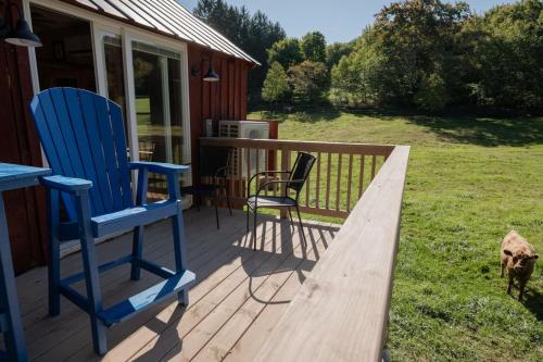 two blue chairs sitting on a deck with a dog at Couples Retreat - The HayLoft- Rustic Escape For 2 in Oakland