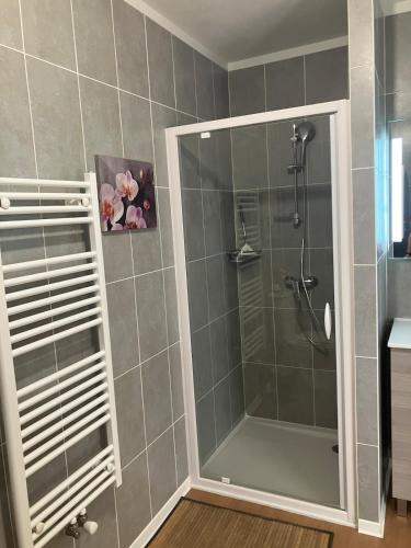 une douche avec une porte vitrée dans une salle de bain dans l'établissement T2 Cosy Terrasse 13m2 Parking gratuit, à Bordeaux