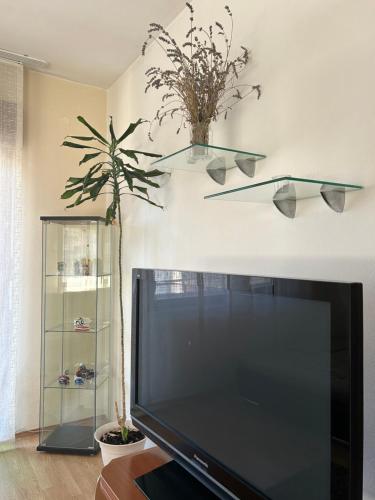 Split Breeze Apartment