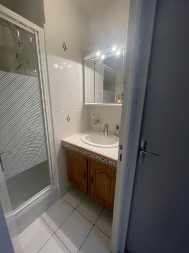 une salle de bain avec un lavabo et une douche dans l'établissement Évasion Méditerranéenne, à Gruissan