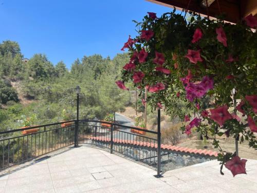 Charming Villa in Pano Platres, Cyprus - Your Home Away from Home
