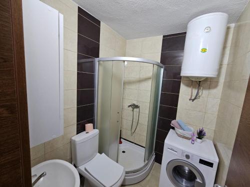 a small bathroom with a toilet and a shower at A&M apartments in Lipjan
