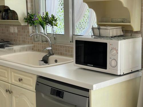 a kitchen counter with a microwave and a sink at AIR, Oneiropagida, Aegina in Vathí