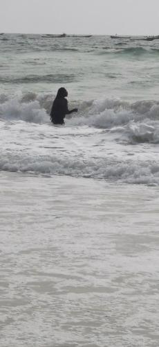 a dog sitting in the waves in the ocean at Les jardins fleuris de lompoul sur mer in Tioukougne Peul