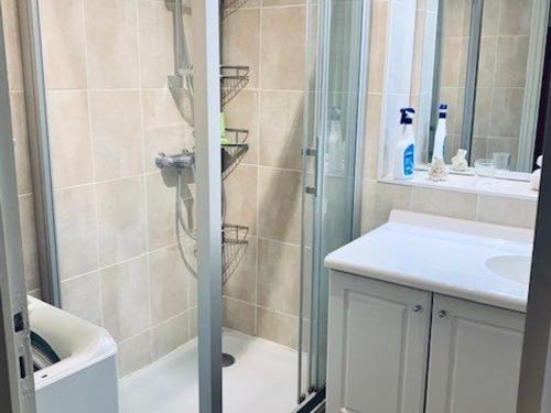 une salle de bain avec douche et lavabo dans l'établissement Appartement F2 moderne avec wifi et garage à Amélie-les-Bains - FR-1-703-110, à Amélie-les-Bains-Palalda