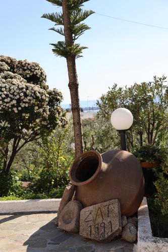 a large vase sitting on the ground next to a tree at Zefi's Aegina Apartment in Kapótidhes