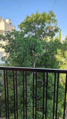 a view of a tree from a balcony at Samuels Comfort Homes in Bengaluru