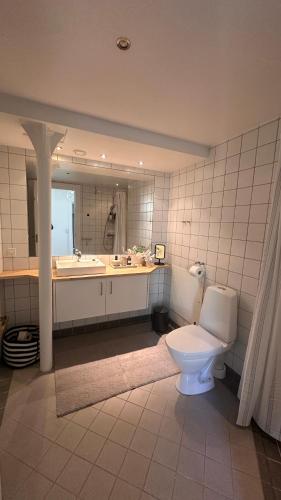 a bathroom with a toilet and a tub and a sink at Løvstræde apartments from 1 to 6 in Copenhagen