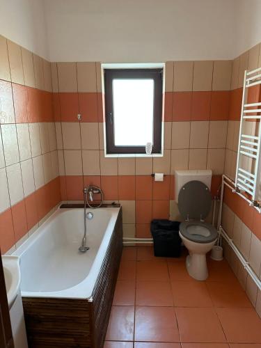 a bathroom with a tub and a toilet and a window at Căsuța de la țară in Bradu