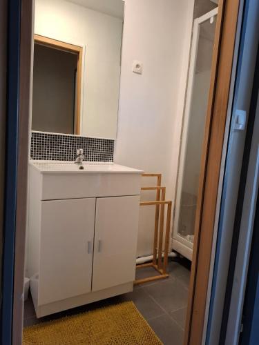 une salle de bain avec un lavabo et un miroir dans l'établissement Duplex en centre-ville, à Fontainebleau