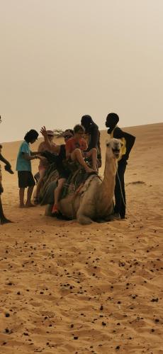 a group of people riding a camel in the desert at Les jardins fleuris de lompoul sur mer in Tioukougne Peul