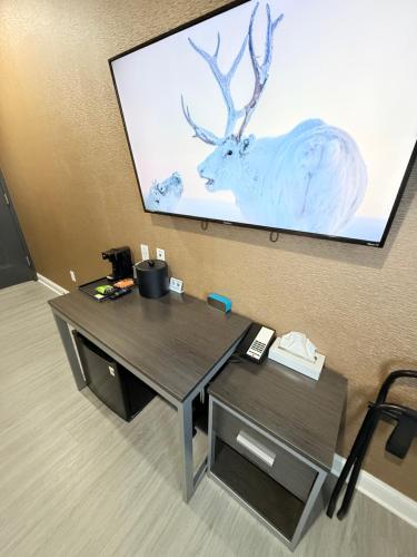 a projection screen with a picture of a deer on a wall at Grandview Hotel New York in Queens